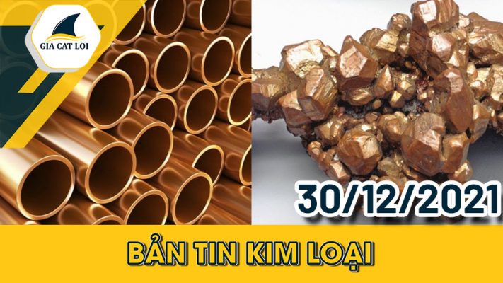 Bản tin kim loại ngày 30/12/2021