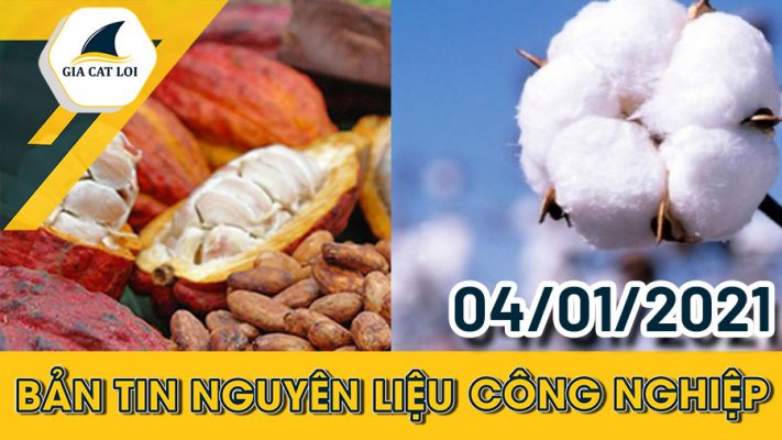 Bản tin nguyên liệu công nghiệp ngày 04/01/2022