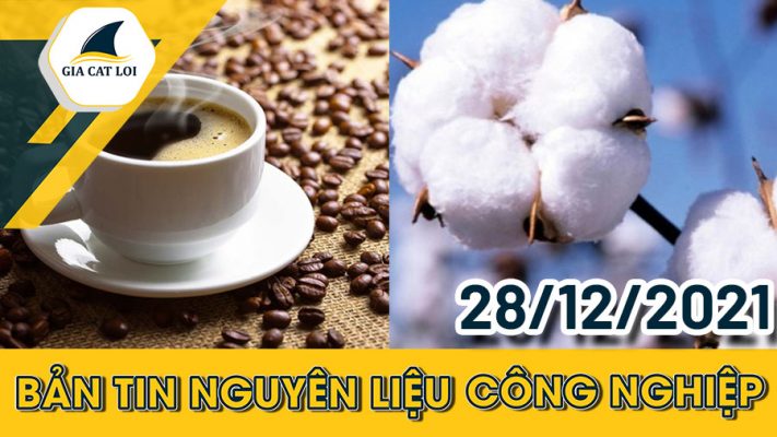 Bản tin nguyên liệu công nghiệp ngày 28/12/2021