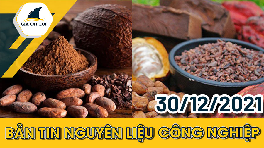 Bản tin nguyên liệu công nghiệp ngày 30/12/2021