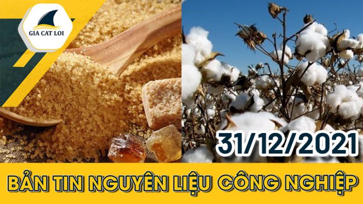 Bản tin nguyên liệu công nghiệp ngày 31/12/2021