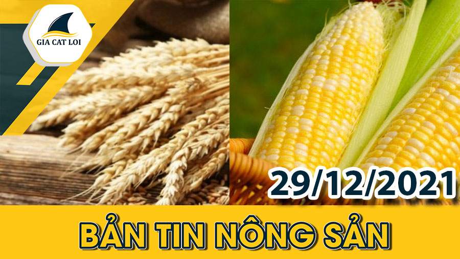 Bản tin nông sản ngày 29/12/2021