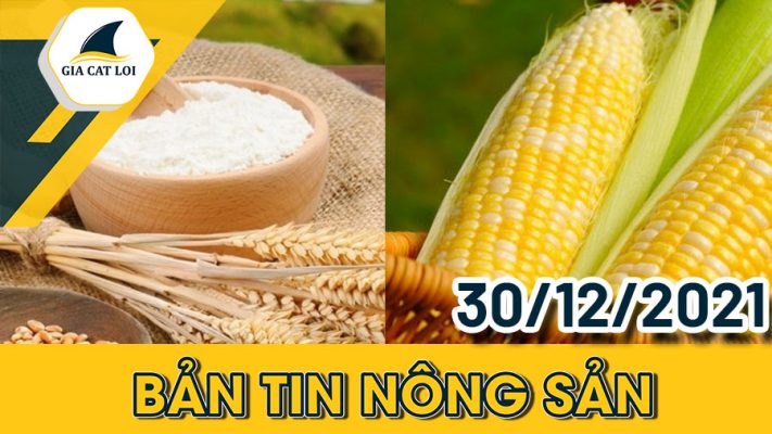 Bản tin nông sản ngày 30/12/2021