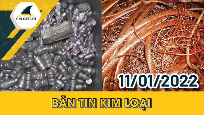 Bản Tin Nhóm Kim Loại Ngày 11/01/2022
