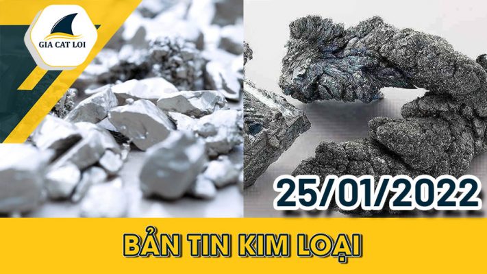 Bản tin kim loại 25/01/2022