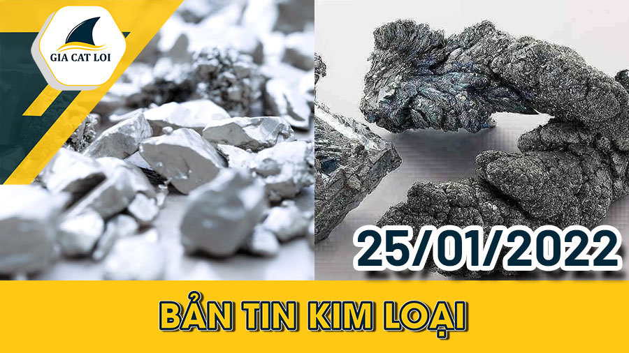 Bản tin kim loại 25/01/2022
