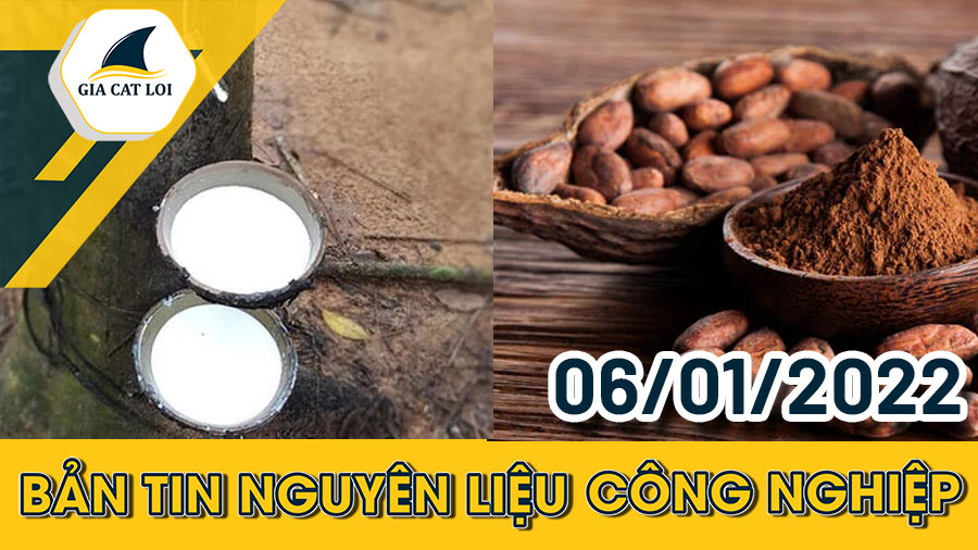 Bản tin nguyên liệu công nghiệp ngày 06/01/2022