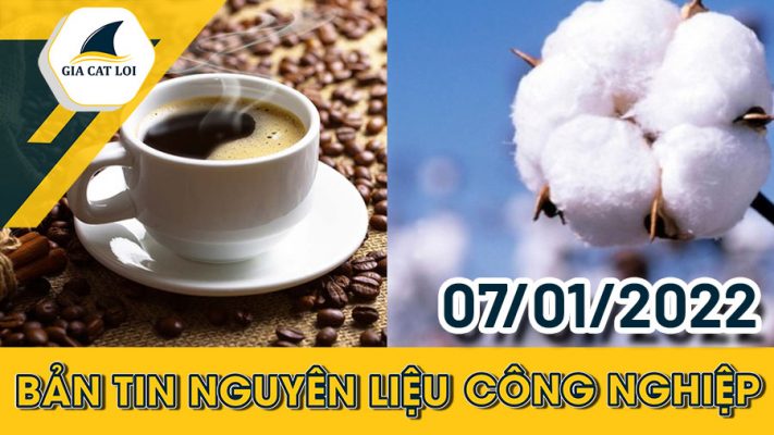 Bản tin nguyên liệu công nghiệp 07/01/2022