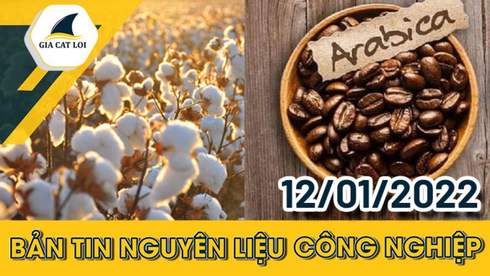Bản Tin Nguyên Liệu Công Nghiệp Ngày 12/01/2022
