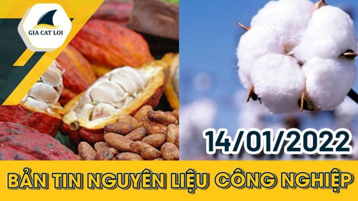Bản tin nguuyeen liệu công nghiệp ngày 14/01/2022