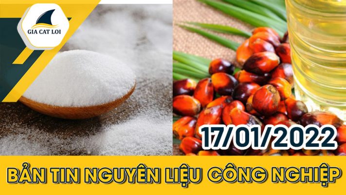 Bản tin nguyên liệu công nghiệp ngày 17/01/2022