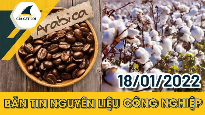 Bản tin nguyên liệu công nghiệp ngày 18/01/2022