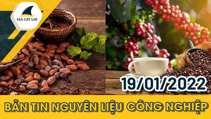 Bản tin nguyên liệu công nghiệp ngày 19/01/2022