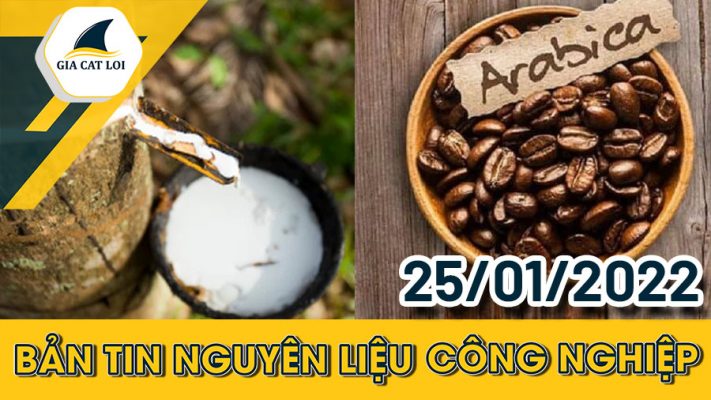Bản tin nguyên liệu công nghiệp ngày 25/01/2022