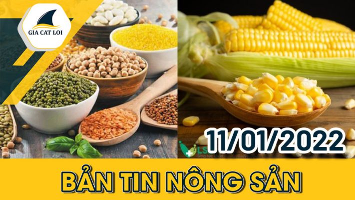 Bản Tin Nông Sản Ngày 11/01/2022