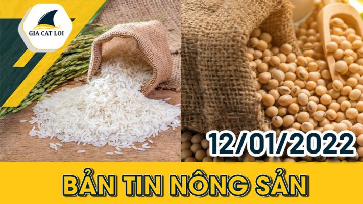 Bản tin nông sản ngày 12/01/2022