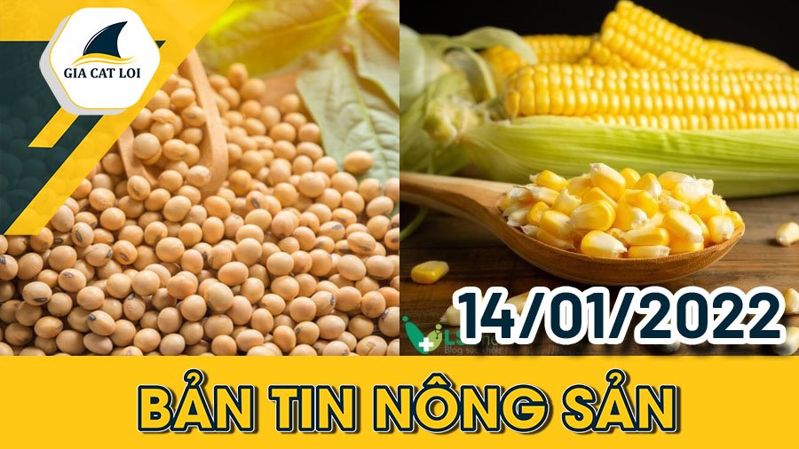 Bản tin nông sản ngày 14/01/2022