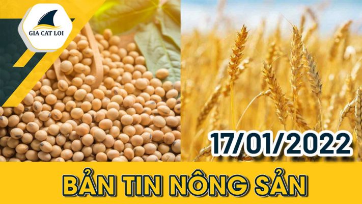 Bản tin nông sản ngày 17/01/2022