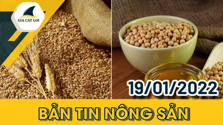 Bản tin nông sản ngày 19/01/2022/01