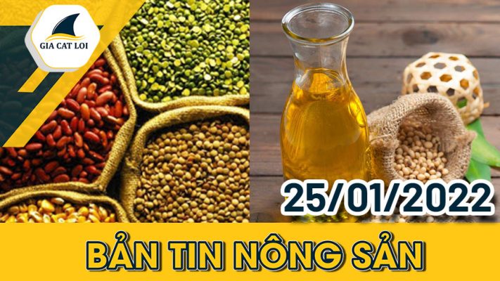 Bản tin nông sản ngày 25/01/2022