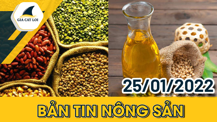 Bản tin nông sản ngày 25/01/2022