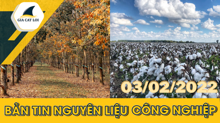 Phân Tích Nguyên Liệu Công Nghiệp Ngày 03/02/2022