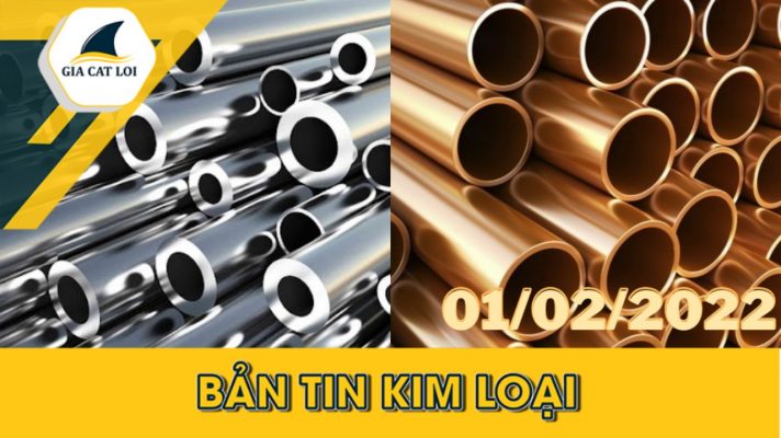 Phân Tích Kim Loại Ngày 01/02/2022
