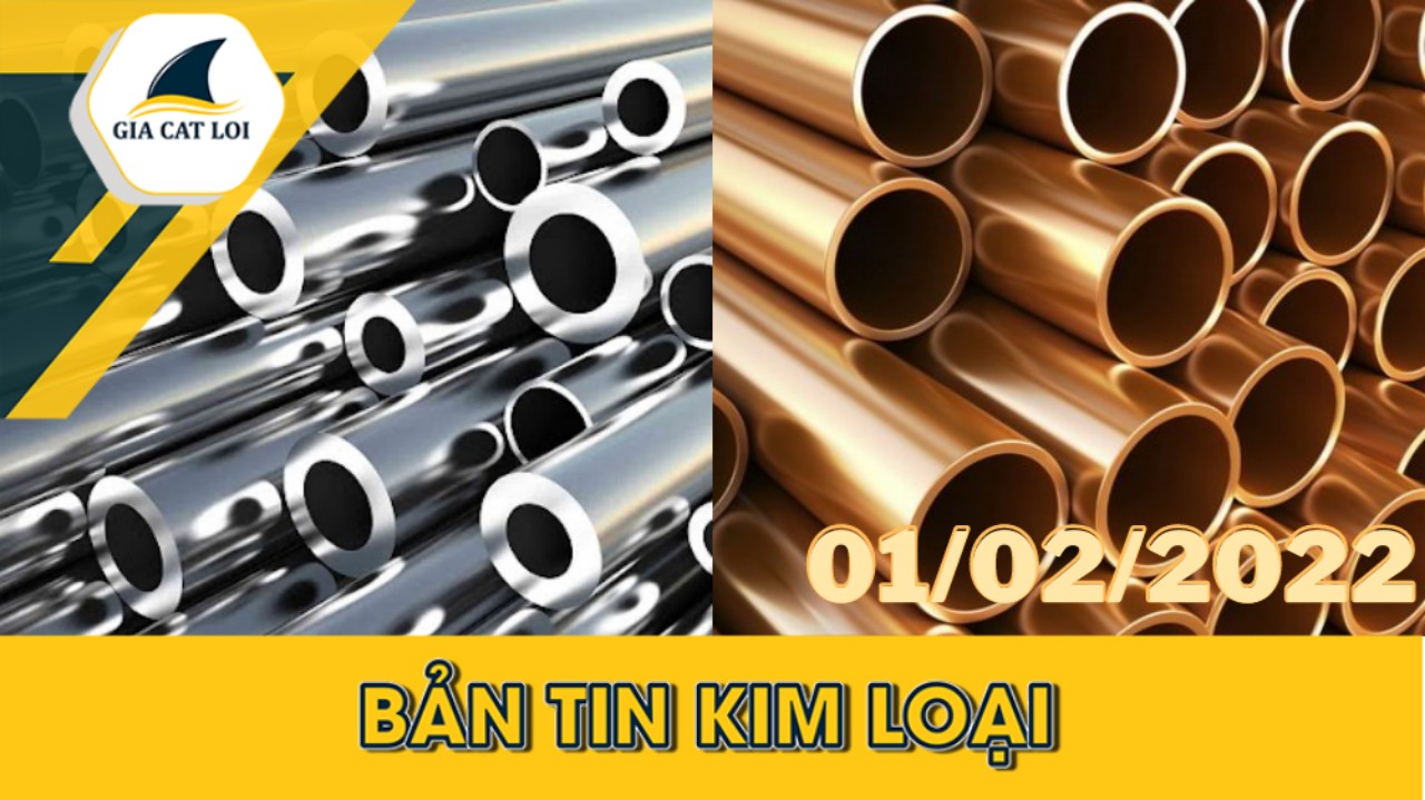 Phân Tích Kim Loại Ngày 01/02/2022