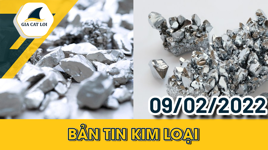 Bản tin kim loại ngày 09/02/2022