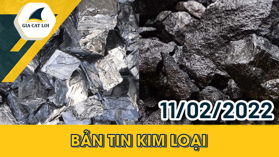 Phân Tích Nhóm Kim Loại 11/02/2022