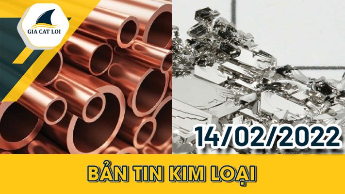 Phân Tích Nhóm Kim Loại 14/02/2022