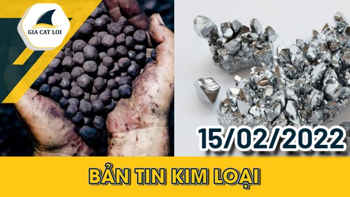 Phân Tích Nhóm Kim Loại 15/02/2022
