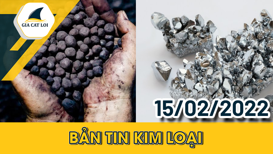 Phân Tích Nhóm Kim Loại 15/02/2022