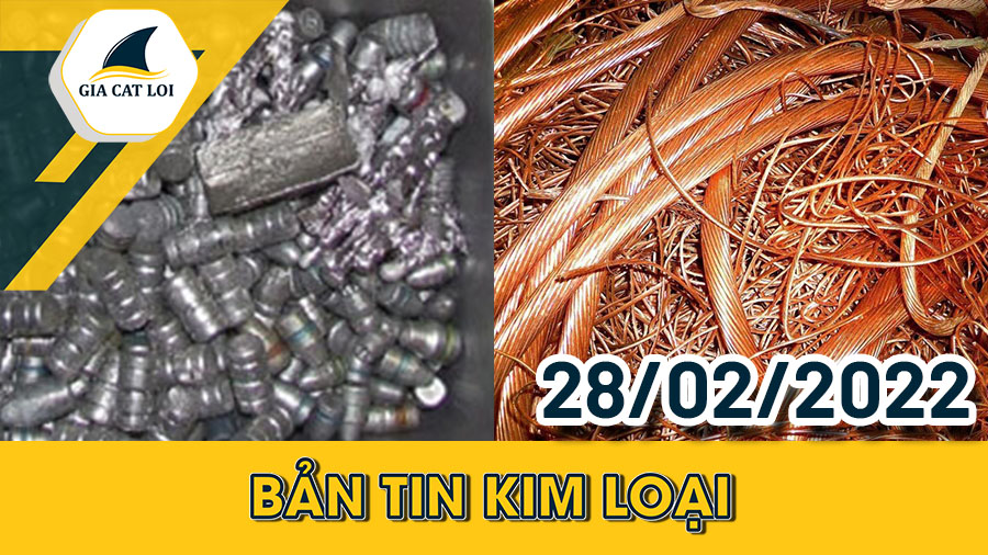 Nhóm Kim Loại 28/02/2022