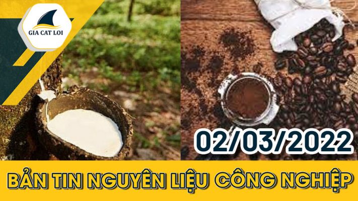 Nhóm Nguyên Liệu Công Nghiệp 02/03/2022
