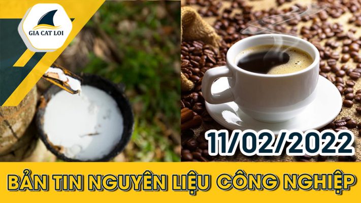 Nhóm Nguyên Liệu Công Nghiệp 11/02/2022