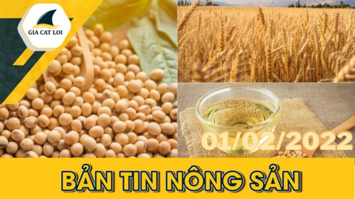 BẢN TIN NÔNG SẢN NGÀY 01/02/2022
