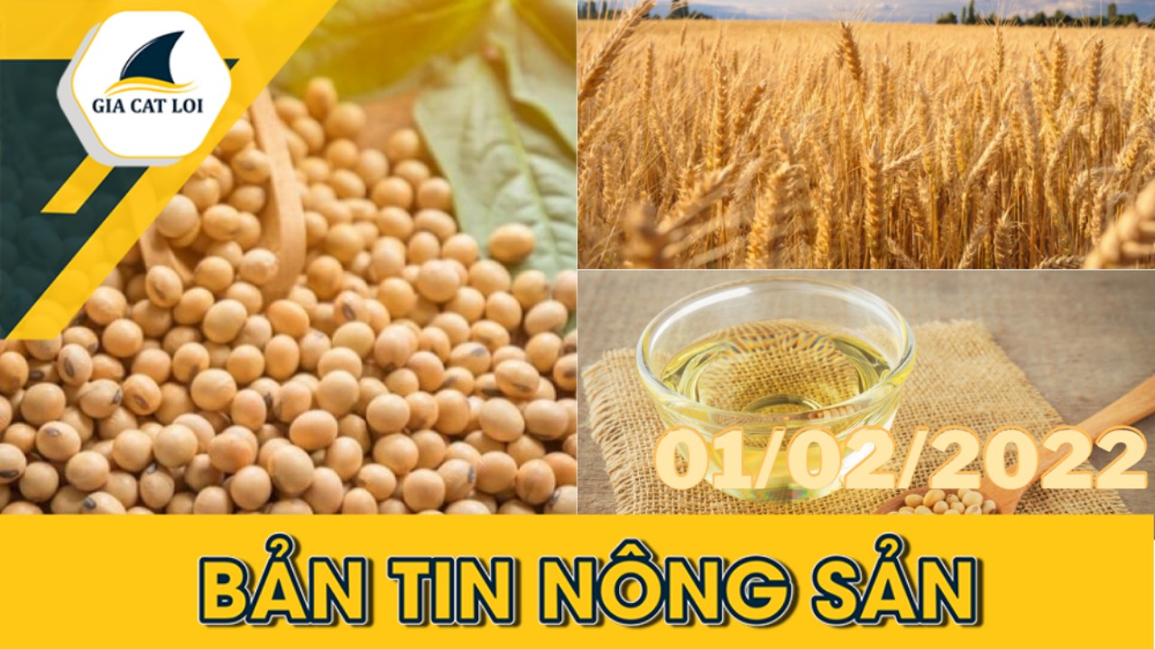 BẢN TIN NÔNG SẢN NGÀY 01/02/2022
