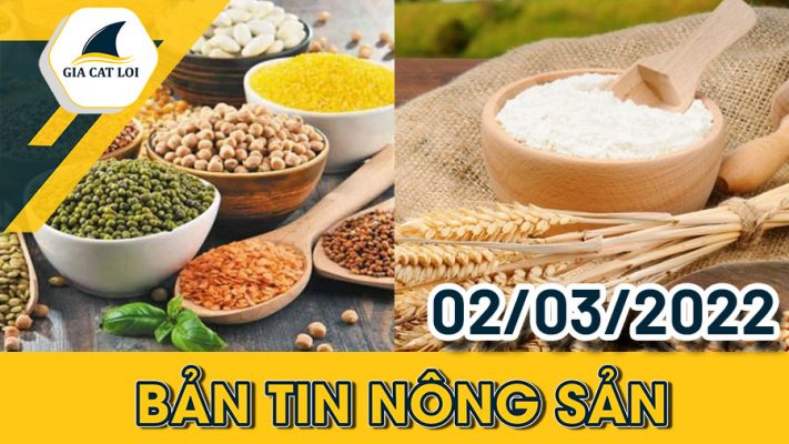 Nhóm Nông Sản 02/03/2022