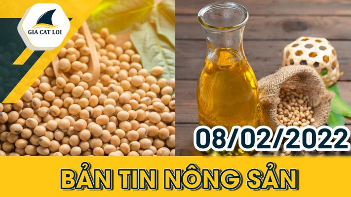 Bản tin nông sản 08/02/2022