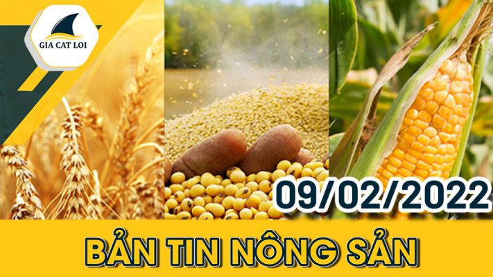 Bản tin nông sản 09/02/2022