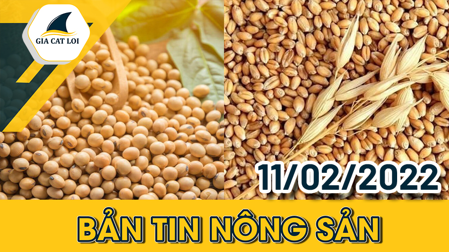 Phân Tích Nhóm Nông Sản 11/02/2022