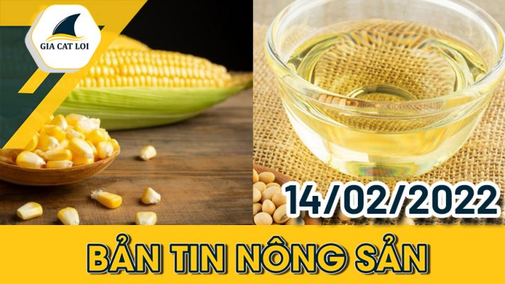 Phân Tích Nhóm Nông Sản 14/02/2022
