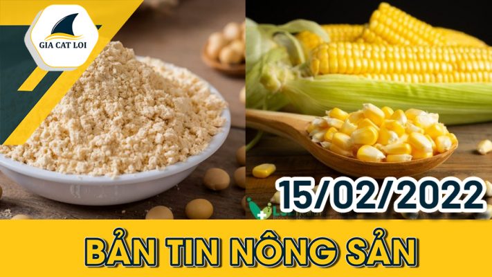Phân Tích Nhóm Nông Sản 15/02/2022