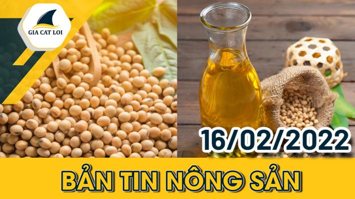 Phân Tích Nhóm Nông Sản 16/02/2022
