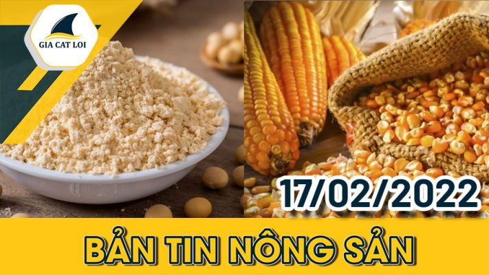 Phân Tích Nhóm Nông Sản 17/02/2022