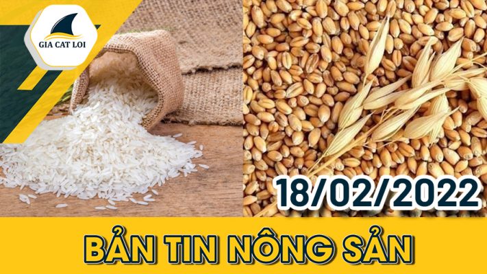 Phân Tích Nhóm Nông Sản 18/02/2022