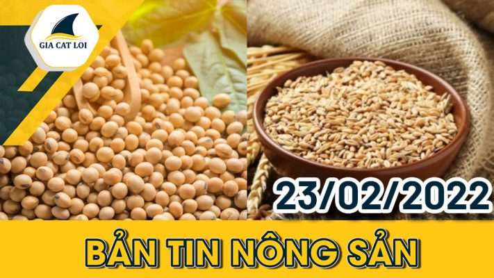 Phân Tích Nhóm Nông Sản 23/02/2022