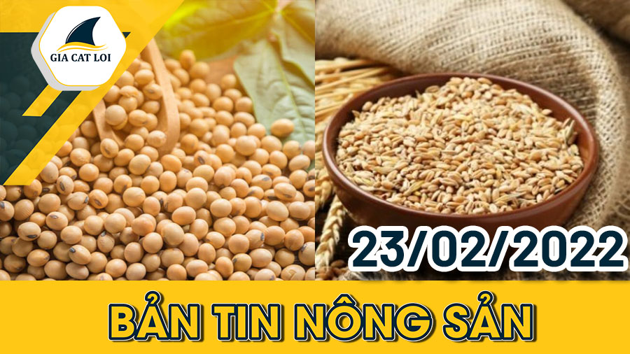 Phân Tích Nhóm Nông Sản 23/02/2022