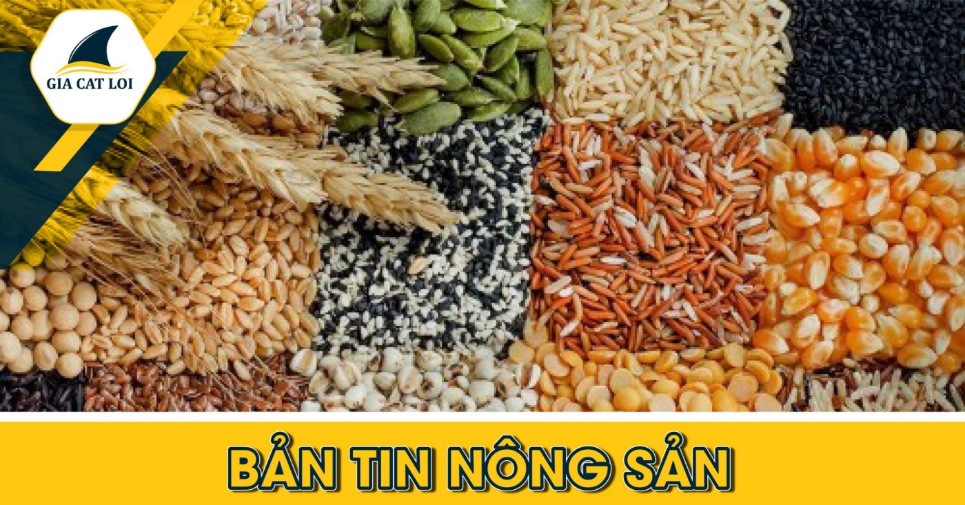 Phân Tích Nhóm Nông Sản 25/02/2022